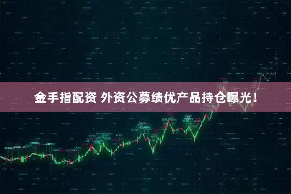 金手指配资 外资公募绩优产品持仓曝光！