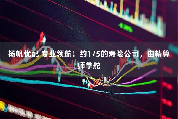 扬帆优配 专业领航！约1/5的寿险公司，由精算师掌舵